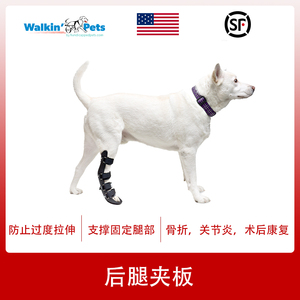 宠物狗犬后腿夹板关节脚掌肘腕骨折固定畸形康复矫正稳定术后绷带