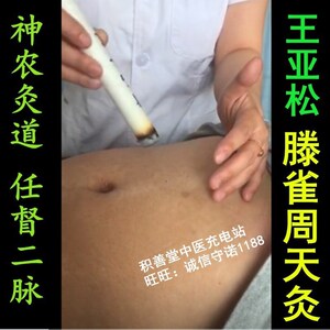 王亚松滕雀周天灸神农灸道任督二脉周天灸(积善堂)艾灸培训24g