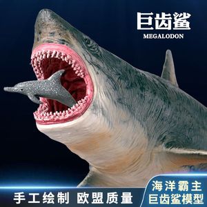 仿真巨齿鲨玩具姥鲨模型大号大白鲨海洋生物摆件虎鲸白鲸男孩礼物