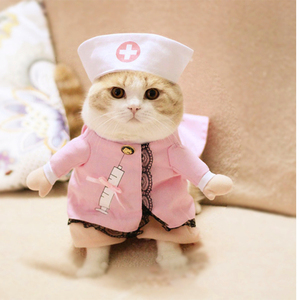 猫咪网红cosplay装 抖音宠物变身服直立装 护士装猫猫创意变身衣