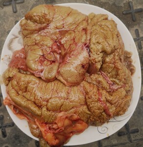 湖北鱼米之乡 新鲜鲤鱼籽 纯鱼籽 鱼卵 鱼蛋 食用冷冻水产500g