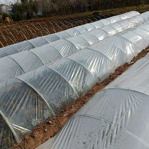 透明塑料薄膜蔬菜育苗覆盖小拱棚膜农作物育苗专用膜冬季防寒保温