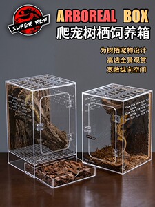 SuperRep亚克力专业爬虫树栖饲养盒豹纹守宫角蛙乌龟爬宠箱空盒子