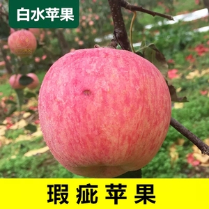 陕西白水红富士新鲜水果自己吃的瑕疵二级果榨汁苹果10斤整箱包邮