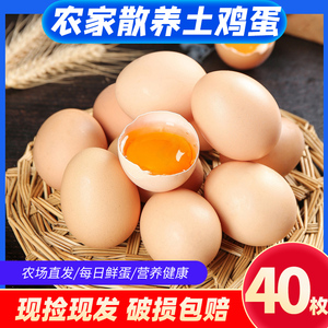 正宗山林散养土鸡蛋40g*40枚新鲜农家散养草鸡蛋农村柴鸡蛋笨鸡蛋