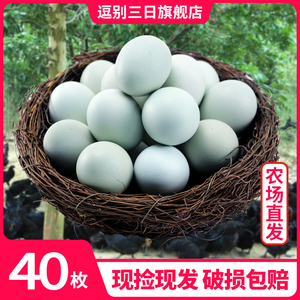 正宗农家散养乌鸡蛋新鲜绿壳土鸡蛋柴鸡蛋40枚绿皮乌骨草鸡蛋孕妇