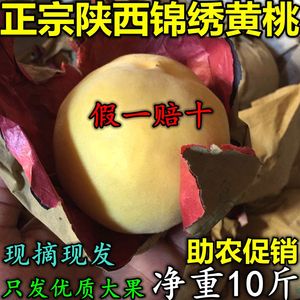 现摘陕西礼泉锦绣黄桃应季新鲜水果非蟠桃水蜜黄金大桃子10斤包邮