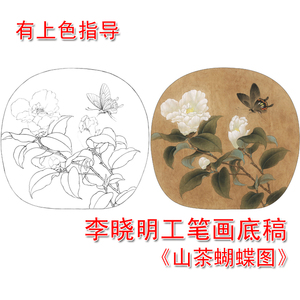 李晓明工笔花鸟白描底稿茶花蝴蝶图工笔画有步骤图及文字解析l332
