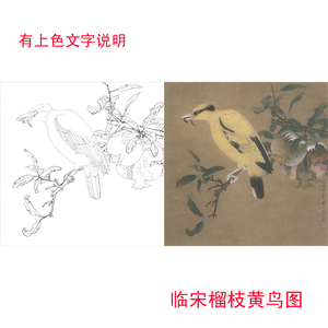 l681李晓明高清工笔白描底稿临榴枝黄鸟图有步骤图文字说明底稿