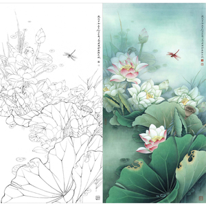 x63有步骤无说明工笔国画竖幅荷花塘工笔画白描底稿线描实物打印
