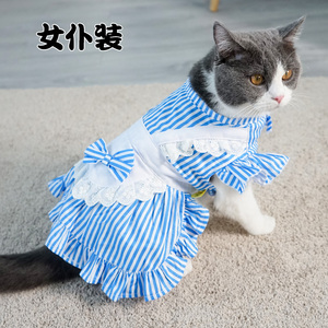 女仆猫咪装