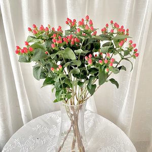 新鲜水养相思红豆火龙珠鲜花家用插花婚庆活动配花云南基地直发