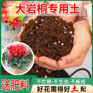 大岩桐专用土花卉种植营养土养花花土通用型泥土营养肥土家用土壤