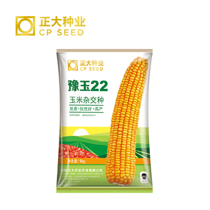 正大豫玉22玉米种子 1kg 抗旱 耐涝 棒大 高产 两袋包邮