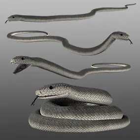 medhue black mamba snake黑曼巴毒蛇unreal虚幻ue4 27