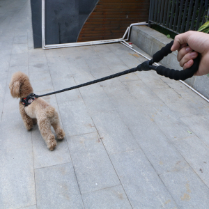 狗狗牵引绳遛狗防挣脱八股绳狗链子栓狗用小型犬中型犬大型犬通用