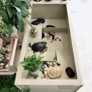 龟池养殖箱家用大型龟苗小龟带晒台喂食区龟缸龟箱南石龟草龟巴龟
