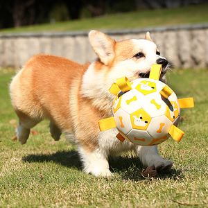 狗狗足球玩具耐咬磨牙边牧玩具训练专用狗球宠物自嗨解闷神器用品