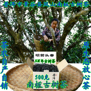 云南普洱茶三百年古树茶春茶生茶景谷南板老树茶500克茶农直销