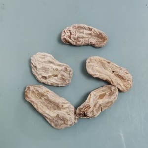 中药材 芭蕉根 500克 芭蕉头 芭蕉巴且绿天 巴且 扇仙