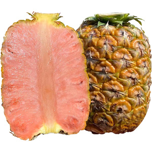 顺丰包邮 新鲜粉菠萝1颗礼盒装 高端稀有不常见水果凤梨