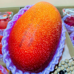 【礼盒装】顺丰包邮 新鲜宫崎芒 太阳之子芒果 高端不常见水果