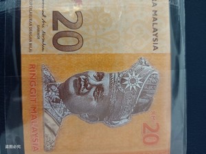马来西亚币图片20元图片