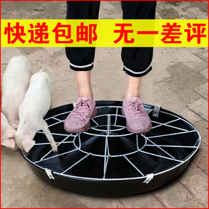 猪食槽小猪料槽猪槽食槽养猪设备猪用养殖设备仔猪补料槽猪料槽