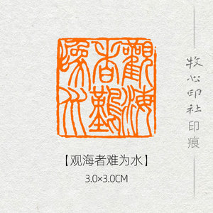 【观海者难为水】国展国画书法书画礼品闲章手工篆刻压角章mx216