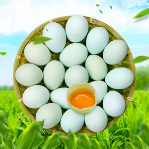 长顺绿壳鸡蛋农家自养土鸡蛋草鸡蛋新鲜现捡绿壳蛋