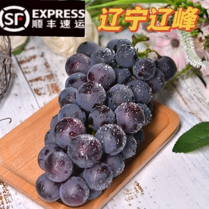 辽宁特产辽峰葡萄新鲜巨峰葡萄整箱孕妇无籽应季水果包邮非提子
