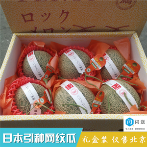 引种日本静冈网纹蜜瓜5-6粒装礼盒口口蜜一藤一瓜蜜露瓜仅售北京