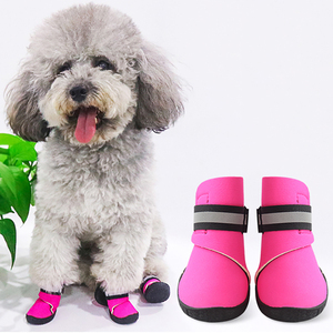 狗狗鞋子柯基犬