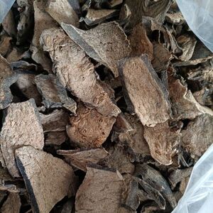 中草药根 野生石猪肝 中药材  正品 石马蹄 双座莲500克石猪心