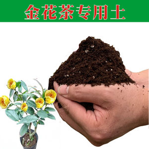 金花茶专用营养土