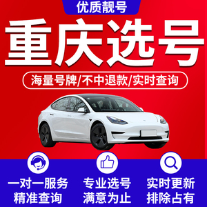 重庆市自编车牌选号新能源汽车数据库12123神器号码牌照