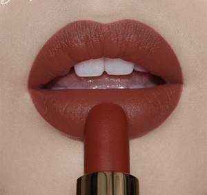 雅诗兰黛 pure color envy 倾慕哑光唇膏口红557/559/333