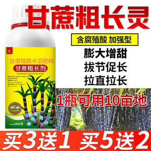 甘蔗拉直拉长灵膨大素专用叶面肥增长拉直灵拔节甘庶生长剂增甜