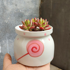 言森网红款牛奶罐多肉花盆小老桩创意透气可爱简约陶瓷 植物花盆