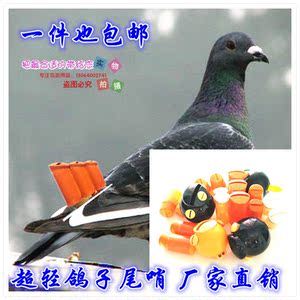 鸽哨信鸽尾哨 鸽子信鸽竹哨鸽笛风哨鸽哨子尾哨训鸽哨包邮足环