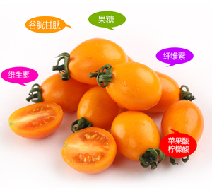 现摘新鲜水果黄色圣女果黄珍珠非千禧樱桃小番茄西红柿酸甜5斤装