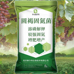 圆褐固氮菌原粉 农业种植固氮促吸收瓜果蔬菜提高产量发酵有机肥