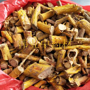 九层皮金腰带剥壳黄蛇根山荔枝根柘刺根中草药500克sea29432263311