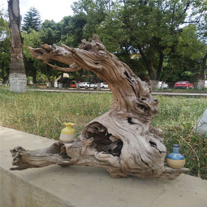 金丝红木羊蹄甲毛料天然随形根雕根艺摆件老料工艺树根沉水木水族