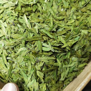 8号 特级全芽龙井43号 豆香 回甘鲜爽 精致芽型 大佛龙井250g罐装