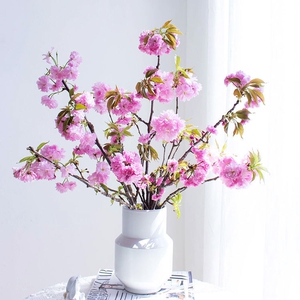 桃花枝腊梅干枝花泡水开花水养红梅花枝条切花腊梅花枝新鲜0人付款51