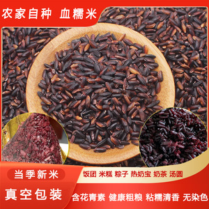 农家血糯米新米紫米包粽子饭团奶茶店专用黑糯米杂粮粳米江米杂粮