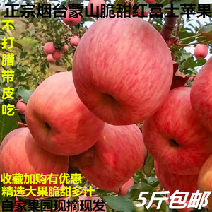 红富士苹果烟台沂蒙山10时令脆甜大果红果包邮新鲜水果冰糖心5斤