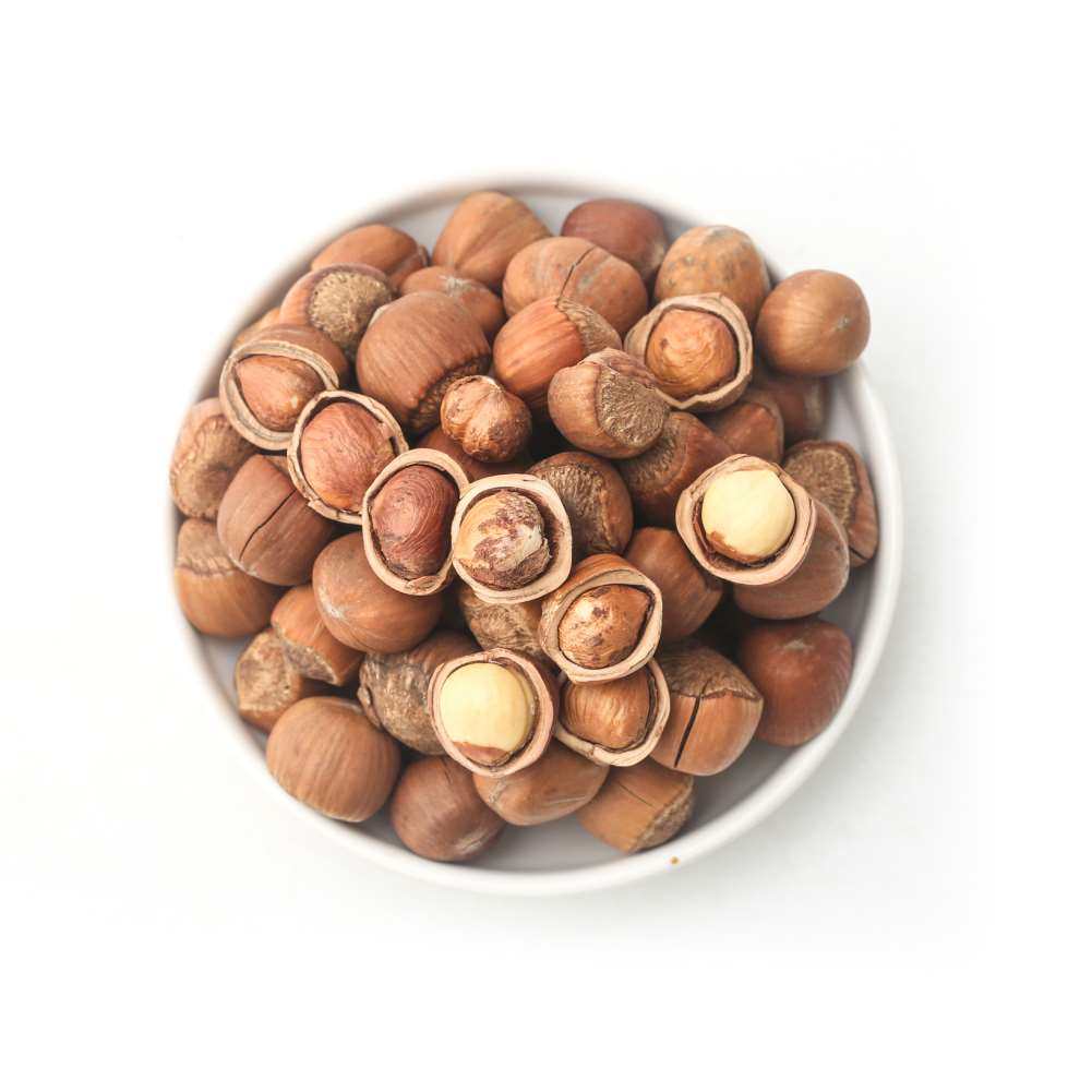 新鲜东北大榛子野生真子果坚果贞子干果贞子.榛子原味野山秦子