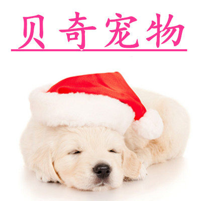 贝奇宠物用品生活馆